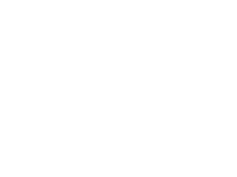 Oak Revenue Services